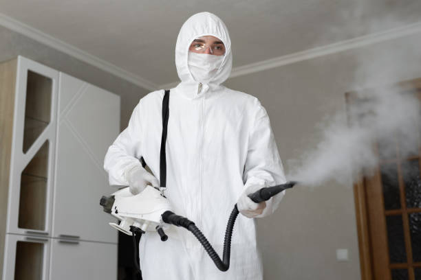 Best Forensic Mold Investigation in Adairsville, GA